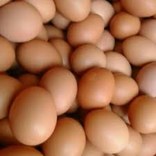 Check spelling or type a new query. Telur Ayam Negeri 1 Kg Telor Ayam 1kg Jabodetabek Only Send By Gosend Shopee Indonesia