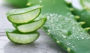 Sebenarnya, pasta gigi tidak dapat membuat payudara. Only Girl Memperbesar Payudara Tak Perlu Operasi Metrojabar Id