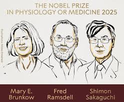 Nobel Prize in Medicine 2025: Breakthrough in Immune Tolerance Research