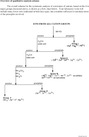 Experiment 2 3 Qualitative Analysis Of Metal Ions In