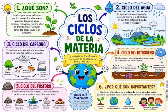 ?LOS CICLOS DE LA MATERIA