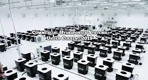 Commercial Hydroponics System Grozinegrozine