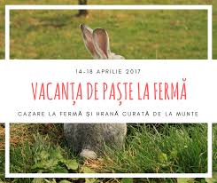 Recente oldest most discussed most shared most viewed most upvoted. Vacanta De Paste La Ferma 2017 Ferma De Sub Penteleu