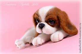 malysh laki valyanie zhivotnye sobachki