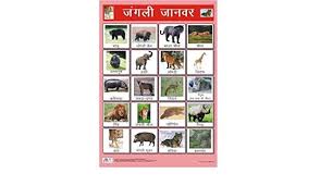 Buy Junglee Janwar Chart For Kids Wild Animals Chart In