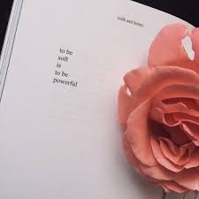 14 Rosen Zitate Ideen Zitate Inspirierende Zitate Und Spruche Rosen Zitate