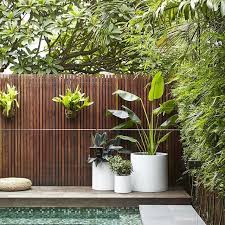 Pin By Cinthia Rivas On Yard In 2020 Garden Plant Pots Potted Plants Outdoor Pool Landscaping Plants