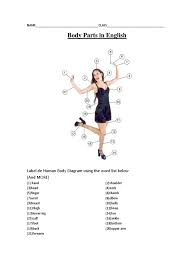 Let me say that it will take many sessions to cover the wonders of the human body. Body Parts In English Label De Human Body Diagram Using The Word List Below And More Hand Primate Anatomy