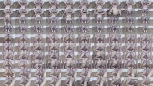 Desi Indian aunty fussy fuking - XNXX.COM