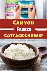 Can You Freeze Cottage Cheese Yes Cottage Cheese Dinner Dry Cottage Cheese Freeze Drying Food
