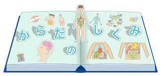 Последние твиты от ケイン・ヤリスギ「♂」 (@kein_yarisugi). ã‹ã‚‰ã ã®ã—ãã¿ ã‹ã‚‰ã ã¨ãã™ã‚Šã®ã¯ãªã— ä¸­å¤–è£½è–¬