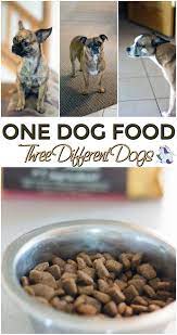 Easy To Find Wholesome Dog Foods For Multiple Dogs Dog Food Recipes Healthy Dog Food Recipes Holistic Dog Food