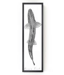 Brown Trout Drawing Brown Trout Wood Art Trout Wood Sign Etsy In 2020 Fly Fishing Art Trout Art Fly Fishing Tattoo