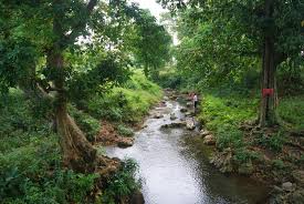 As i know this place is cold because located inside of forest hope there's a progress to clean up if bojonegoro want to more tourist to come especially foreigners. Eloknya 31 Tempat Wisata Di Bojonegoro Jawa Timur Trip Jalan Jalan