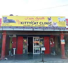 My Cat Clinic