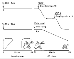 Pdf Comparison Of Fatty Meal And Intravenous