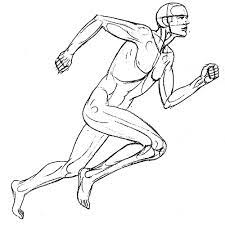 Anatomia De La Figura En Movimiento Pintura Y Artistas