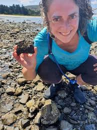 About us — Sea Forest Foundation