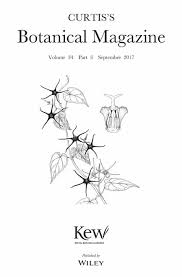 Image result for Macrotyloma daltonii