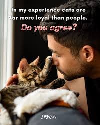 Linda Nowinski's Instagram, Twitter & Facebook