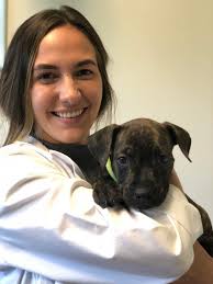 It's with a heavy heart to share with the pet community ... The passing  last night of Terry Dayton. Many of you may remember her from Canyon  Country Animal Hospital where I