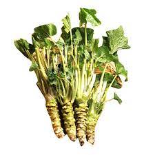 814 wasabia japonica root products are offered for sale by suppliers on alibaba.com, of which equipments of traditional chinese medicine accounts for 1%, herbal extract accounts for 1%, and single spices & herbs accounts for 1%. Your