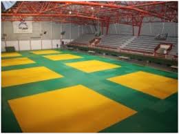 Vovinam Toulouse Argoulets
