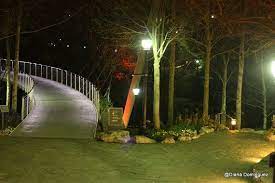 Greenville Sc Photos Liberty Bridge At Night West End By Ddfoto Liberty Bridge Photo West End