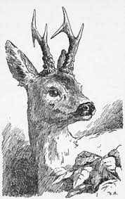 It's based on bambi, a life in the woods (bambi, eine lebensgeschichte … even more interesting is that in the infamous death scene, they were also going to show bambi's mother getting shot onscreen. Bambi Character Wikipedia