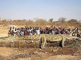 Dari masa restorasi meiji hingga akhir perang dunia ii, shinto adalah agama resmi di jepang. Reptilia Terbesar Di Dunia Senarai Nama Keterangan Foto Dan Video Haiwan
