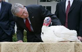 We did not find results for: In The Spirit Of Us Thanksgiving Tradition Two Turkeys Receive Presidential Pardon Wikinews The Free News Source