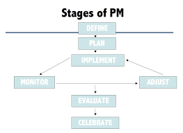 Managing Information Organizations