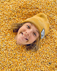 Glen Ray's Corn Maze and Pumpkin Patch