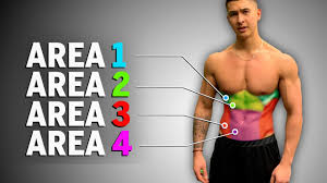 Then we come to the intrinsic back muscles charged with motions of the vertabral column. The Best 10 Minute Ab Workout For Six Pack Abs Hit Each Area Youtube