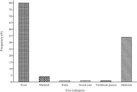 Image result for Macrotyloma maranguense