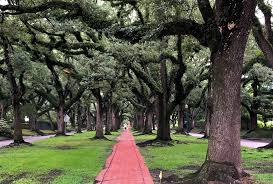 Maybe you would like to learn more about one of these? 50 Best Things To Do In Houston Texas 365 Houston