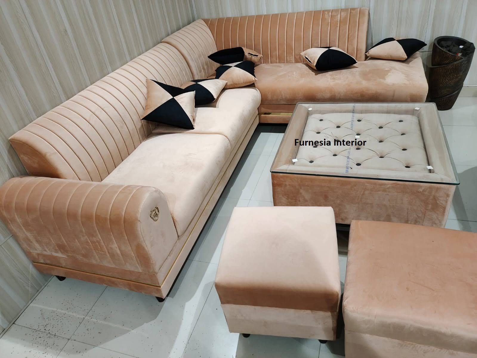 Modern Luxury sofa set