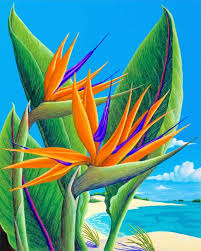 Top 10 paint by number tips & tricks. Bird Of Paradise Plants Paint By Numbers Canvas Paint By Numbers