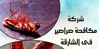 شركة مكافحة صراصير في الشارقة 0567667142 بيت العز 0567667142 Sharjah Movie Posters