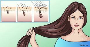 3 Quick Ways To Make The Hair Grow Quicker And Be Healthier Grow Hair Ways To Grow Hair Vitamins For Hair Loss