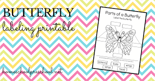 May 06, 2021 · hang a butterfly feeder in your garden for a steady source of nectar. Printable Parts Of A Butterfly Worksheet For Preschool