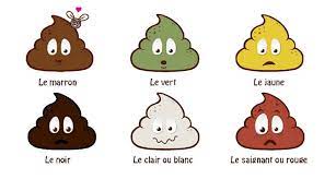 Des selles jaunes peuvent apparaître. Ce Qu Il Faut Savoir Si Jamais Votre Caca Est Vert Pour Votre Sante