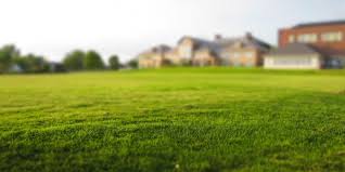 Arsa tapulu yerlerin metrekare fiyatları 1000 liradan 1.500 liraya çıktı. Hisseli Arsa Tapusu Nasil Bolunur Gerekli Evraklar Nelerdir