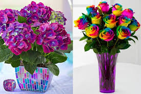 Colorful wedding flower arrangement mixed flower arrangement for a wedding: The Best Places To Order And Send Flowers Online