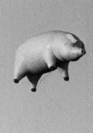 Pink Floyd Animals Pink Floyd Art Pink Floyd Pig Pink Floyd Animals
