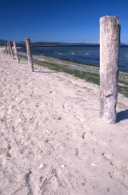 The foundations for these home designs typically utilize pilings, piers, stilts or cmu block walls to raise the home off grade. 1 385 Beach Pilings Photos Free Royalty Free Stock Photos From Dreamstime