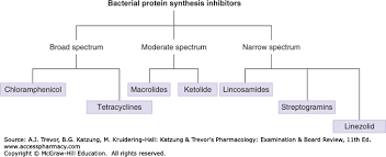 Bactrim Bactrim Costo Bactrim Ds And Alcohol Side Effects