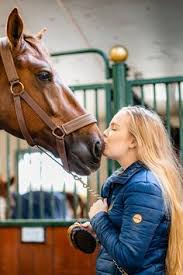 2400 x 3100 png pixel. 12 Ideeen Over Paardenpraattv Fan Paarden Mooie Paarden Paardenfotografie