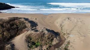 Ci sono spiagge più accoglienti per le persone che non amano lasciare a casa i loro animali. Porto Alabe Beach Tresnuraghes Destimap Destinations On Map