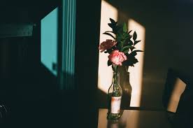 Good still life photography ideas. Cool Ideas For Still Life Photography Lomography